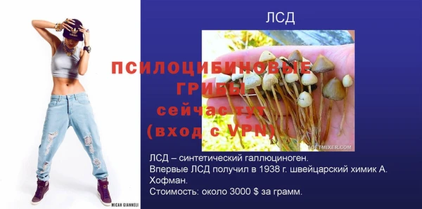 МДПВ Рославль