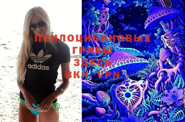 не бодяженный Алексин
